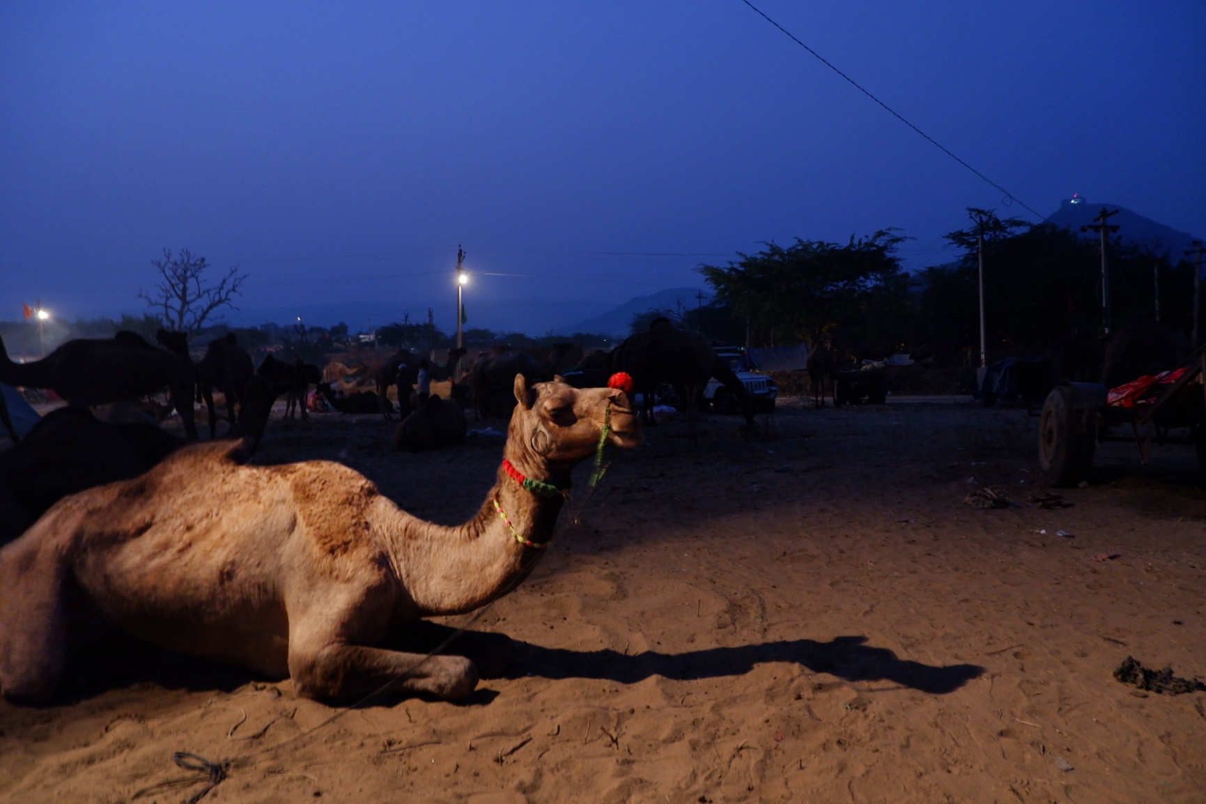 Life in Pushkar photograph 12